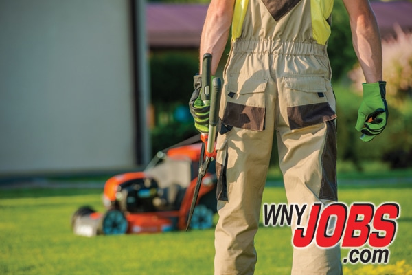 Summer Jobs In Buffalo Ny, Landscape Maintenance Crew Leader Job Description