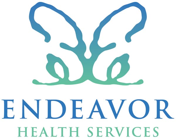 Endeavor Health Services logo