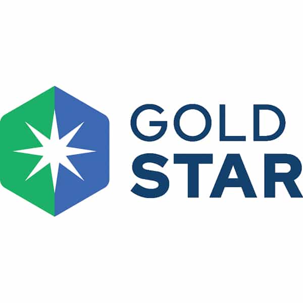Gold Star 2024 logo