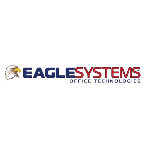 Eagle Systems logo Eagle Systems logo