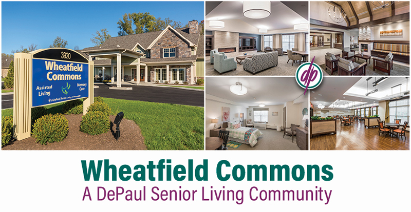 DePaul Wheatfield collage