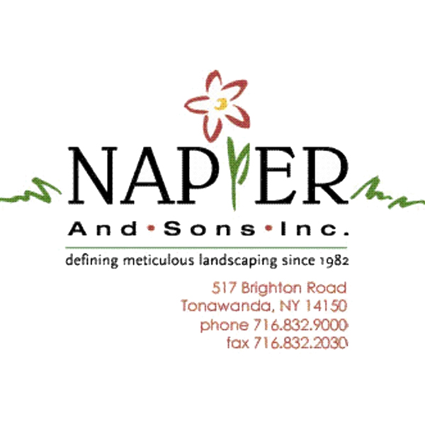 Napier and Sons Inc Landscaping logo